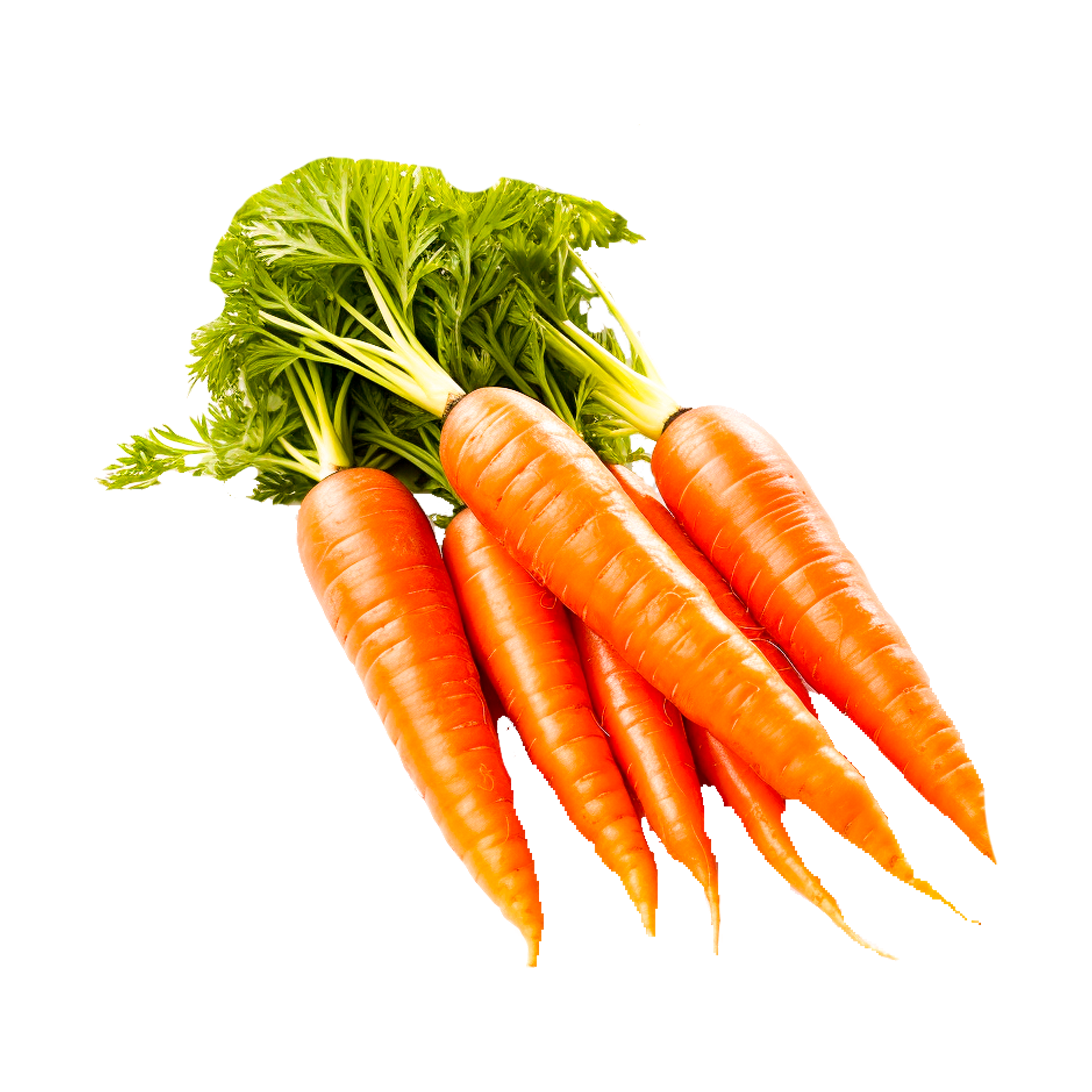 Modération des portions